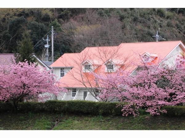 Pension Hidamari Minamiizu Exterior photo
